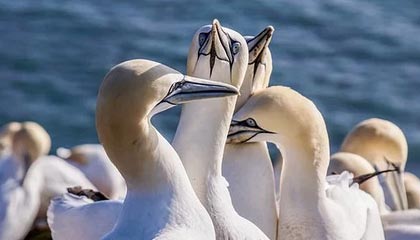 爱游戏手机版-中国足球国际合作不断深化，推动青训输出与交流，中国足球青训体系是什么