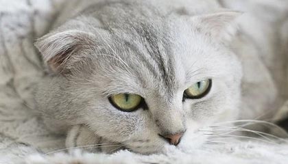 爱游戏手机版-中国足球国际合作不断深化，推动青训输出与交流，中国足球青训体系是什么