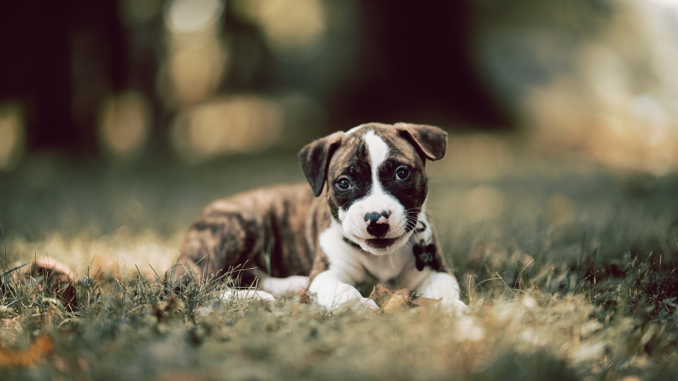 爱游戏电竞全站-【心理战】心理调适在激烈比赛中的作用，比赛心理调节