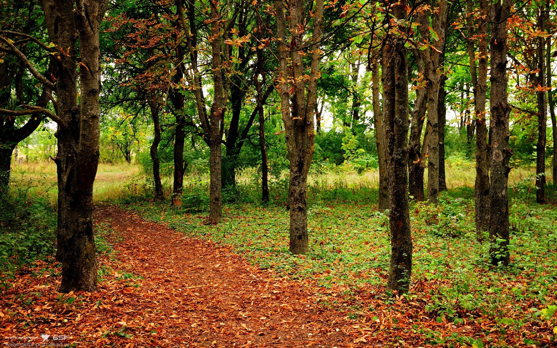 爱游戏体育在线赛事-创新青训模式，推动“足球+”产业跨界融合发展，足球青训理念